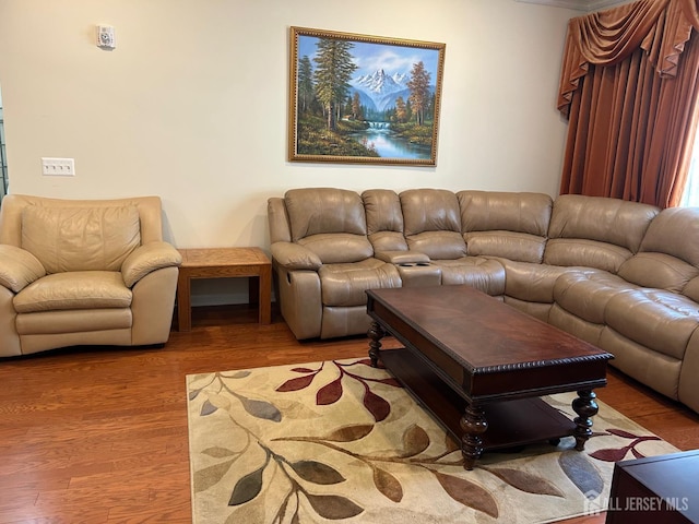 4207 Cedar Village Blvd, East Brunswick, NJ 08816 - living area with wood finished floors