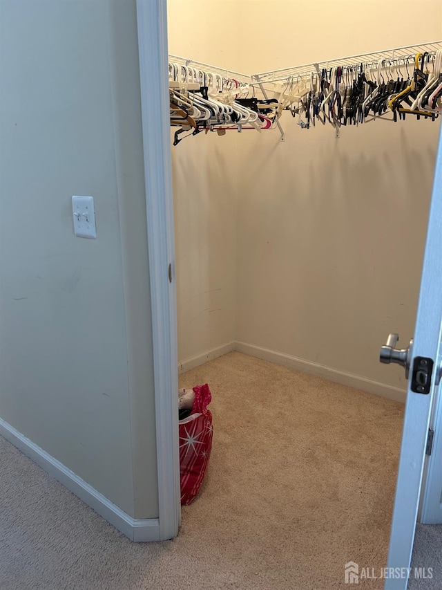 4207 Cedar Village Blvd, East Brunswick, NJ 08816 - walk in closet with carpet floors