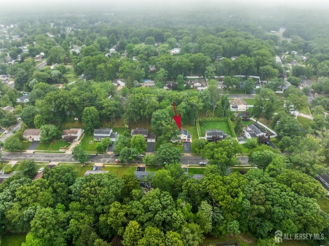 14 Bosko Dr, East Brunswick, NJ 08816 - aerial overview of property's location