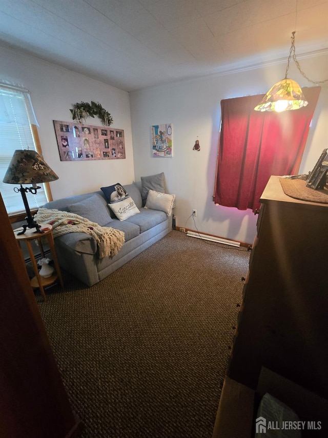 91 Grant Ave, Fords, NJ 08863 - carpeted living room with a baseboard heating unit