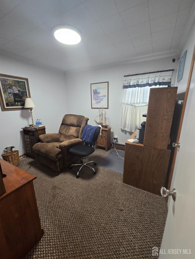 91 Grant Ave, Fords, NJ 08863 - home office with carpet floors