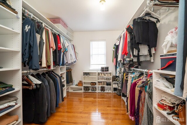17 Putnam Rd, South Brunswick, NJ 08852 - photo 41