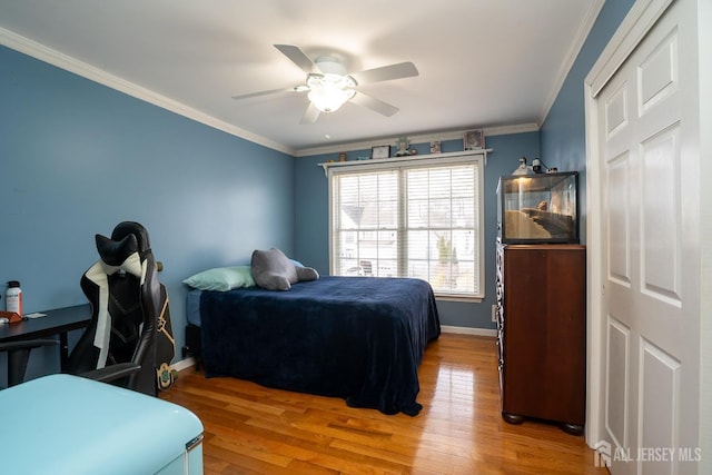 17 Putnam Rd, South Brunswick, NJ 08852 - photo 31