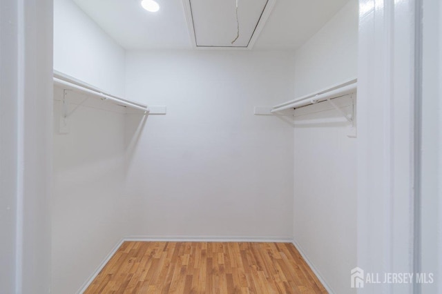 walk in closet featuring attic access and light wood-style floors