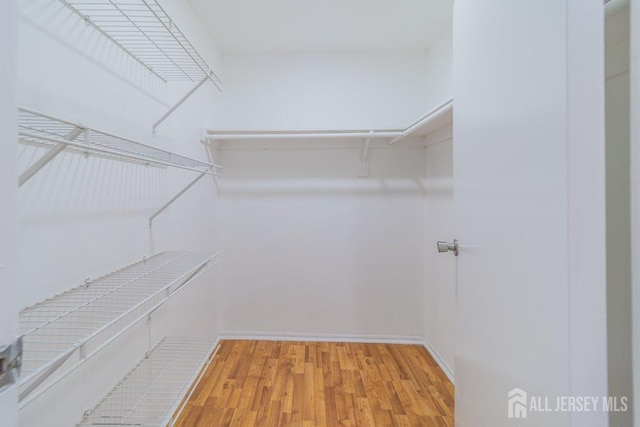 spacious closet with light wood-style floors