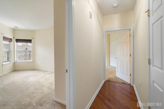 540 Cranbury Rd Unit 407, East Brunswick, NJ 08816 - corridor with carpet flooring, baseboards, and wood finished floors