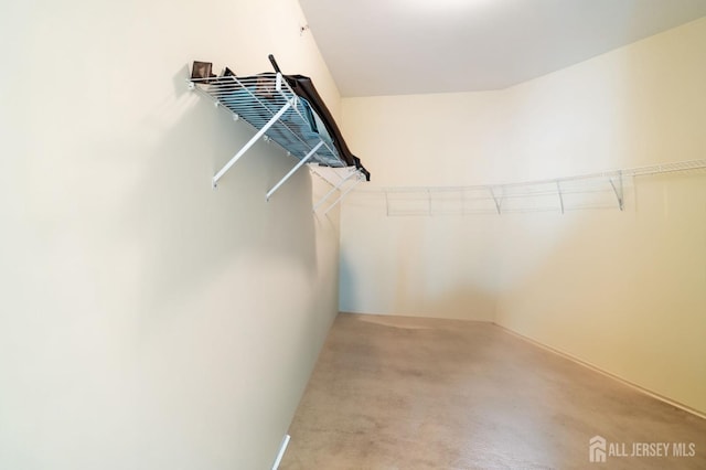 540 Cranbury Rd Unit 407, East Brunswick, NJ 08816 - spacious closet with carpet floors