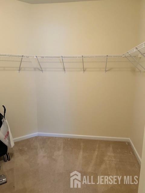 walk in closet featuring carpet