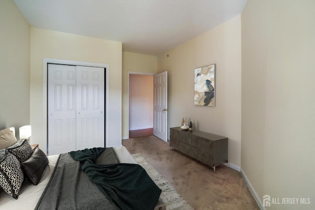 540 Cranbury Rd Unit 407, East Brunswick, NJ 08816 - bedroom with baseboards, light carpet, and a closet