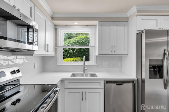 377-B Old Nassau Rd, Monroe, NJ 08831 - kitchen with stainless steel appliances, tasteful backsplash, ornamental molding, light countertops, and white cabinets