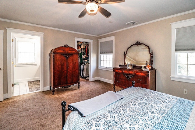 bedroom featuring visible vents, a walk in closet, baseboards, ornamental molding, and carpet floors