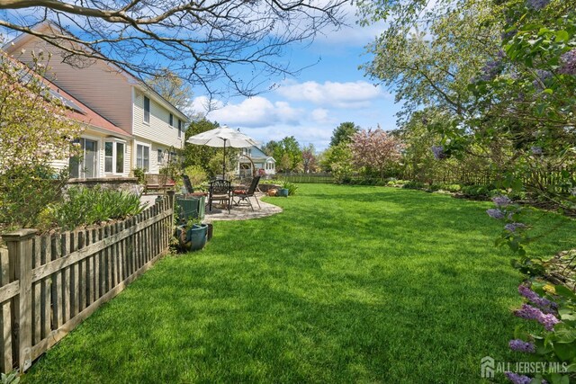 view of yard featuring a patio