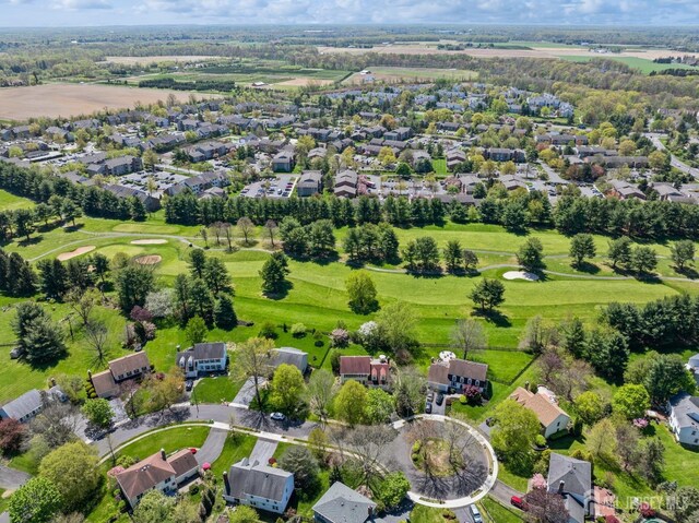 bird's eye view