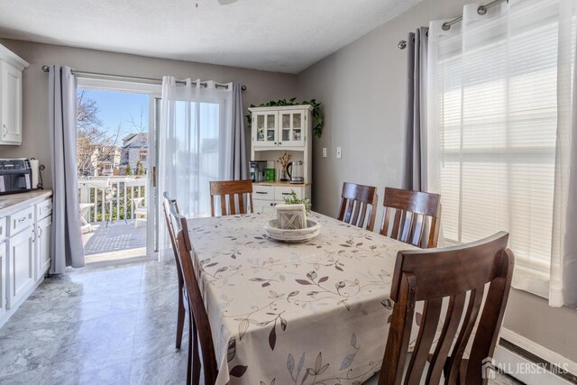 dining room with baseboard heating