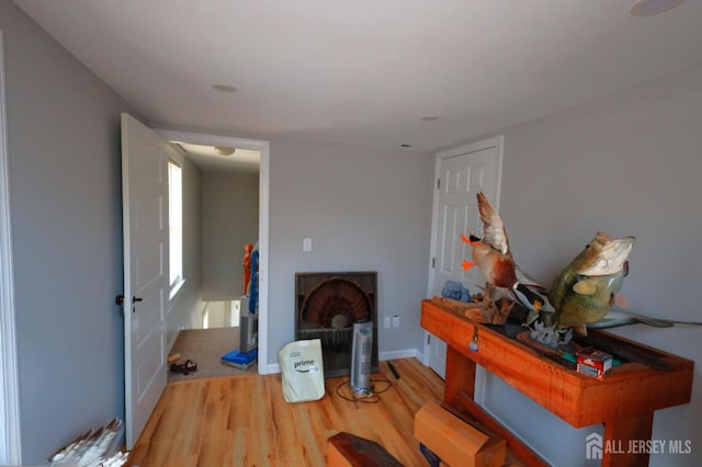 living room with hardwood / wood-style flooring and a fireplace