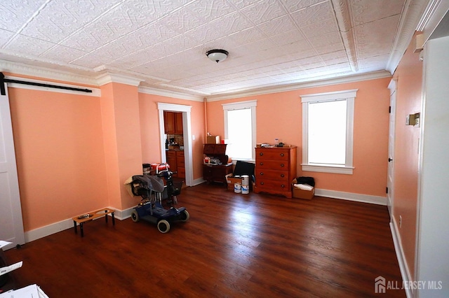 misc room featuring ornamental molding, a barn door, and dark hardwood / wood-style flooring