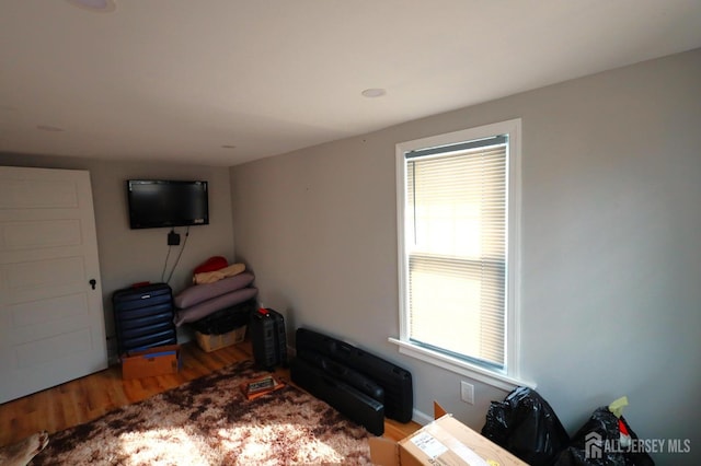 bedroom featuring wood-type flooring