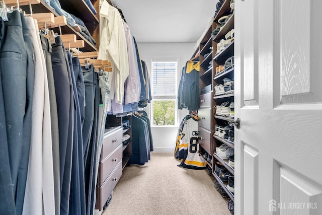 spacious closet featuring light carpet