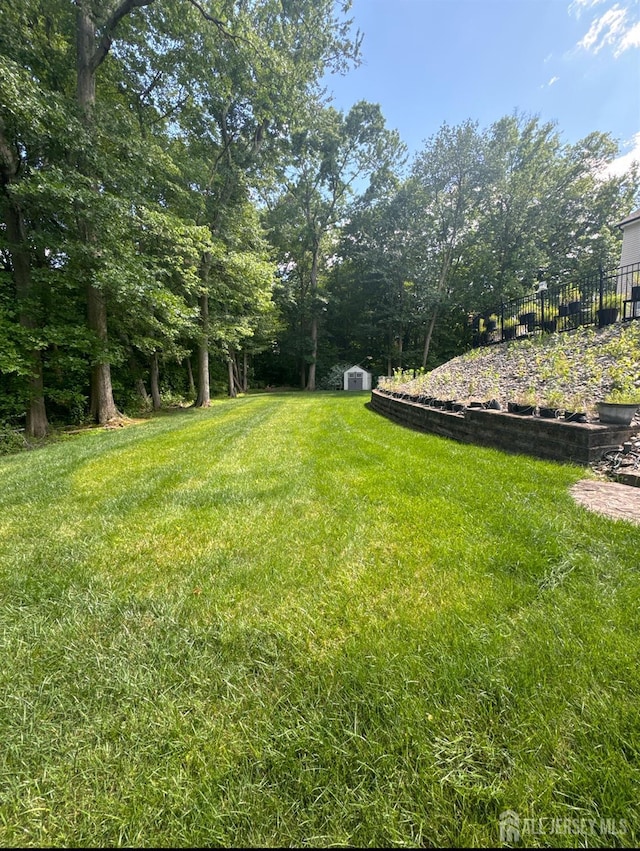 view of yard