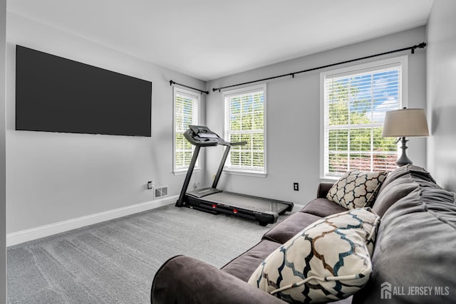 exercise room featuring baseboards and carpet flooring
