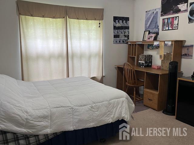 11 Pebble Beach Ct, Monroe, NJ 08831 - view of carpeted bedroom
