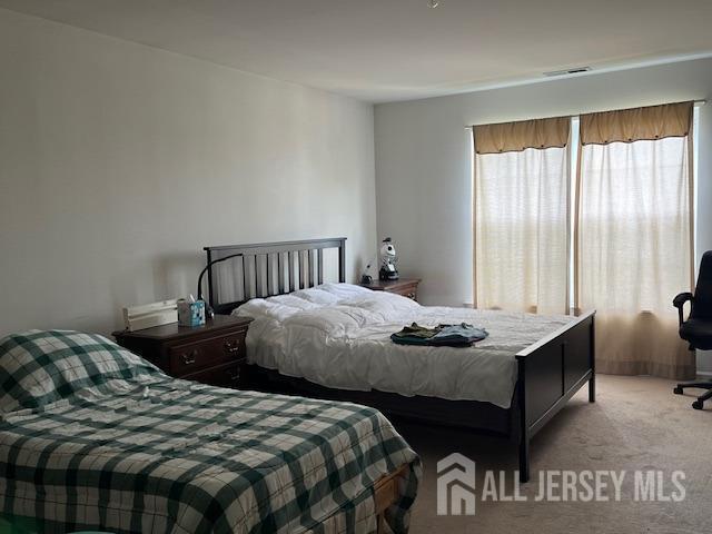 11 Pebble Beach Ct, Monroe, NJ 08831 - view of carpeted bedroom