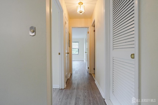 809 Woodhaven Dr, Edison, NJ 08817 - photo 10