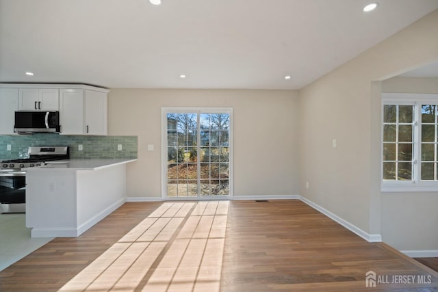 kitchen featuring backsplash, light wood-style floors, baseboards, and appliances with stainless steel finishes