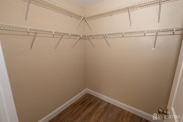 2708 Ridgefield Ct, Helmetta, NJ 08828 - walk in closet with dark wood-type flooring