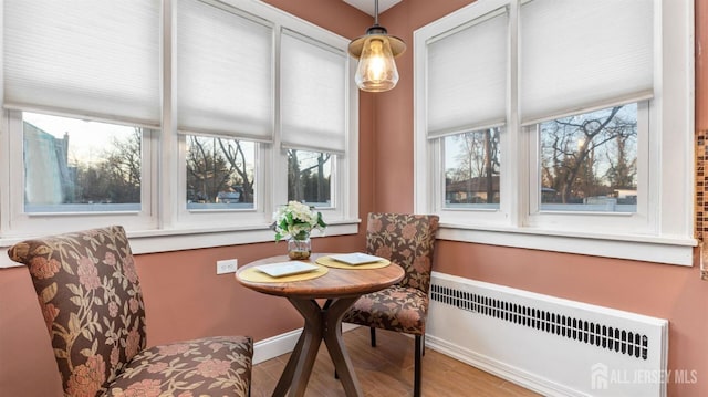 dining room featuring radiator heating unit, wood finished floors, baseboards, and a wealth of natural light