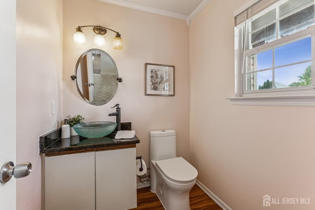 192 Middlesex Ave, Piscataway, NJ 08854 - bathroom featuring vanity, ornamental molding, and wood finished floors