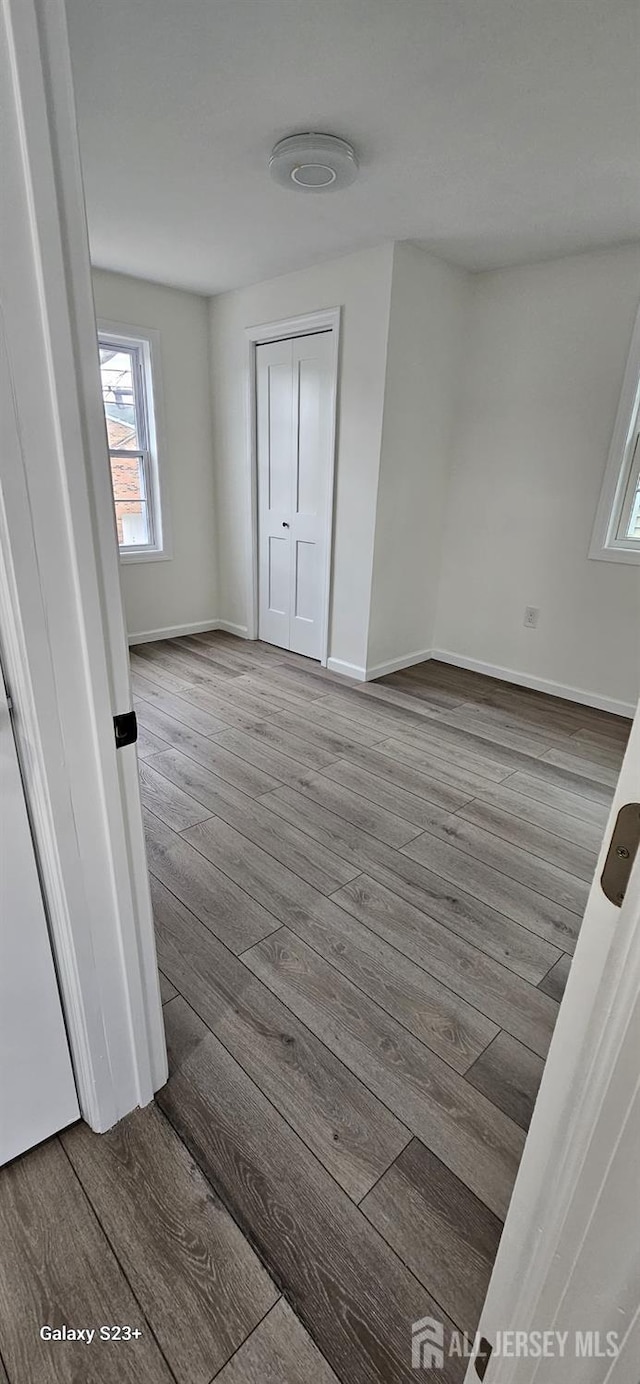 interior space featuring hardwood / wood-style flooring and a closet