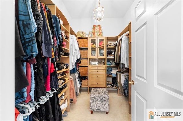 8 Tamarack Rd, Monroe, NJ 08831 - walk in closet featuring light carpet