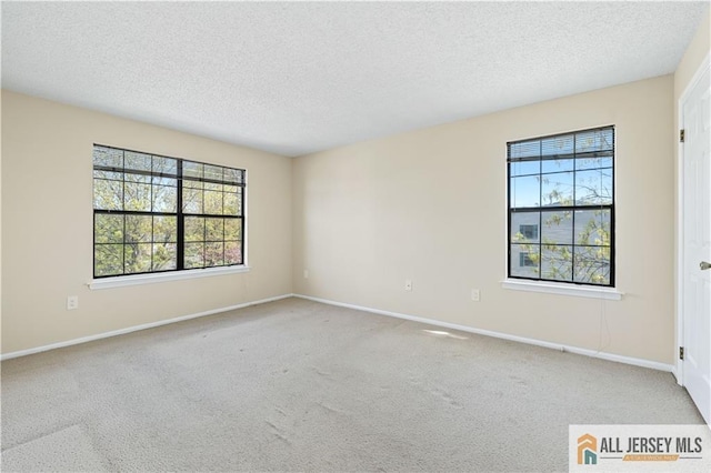81 Fisher Dr Unit 2503, Franklin, NJ 08823 - unfurnished room featuring a textured ceiling, carpet flooring, and baseboards