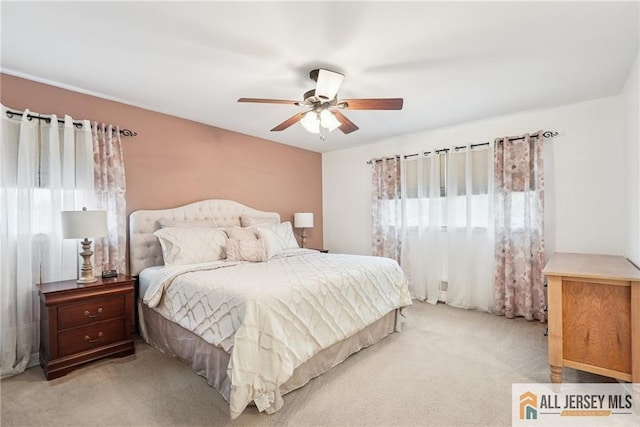 39 Evergreen Ter, Monroe, NJ 08831 - carpeted bedroom featuring multiple windows and ceiling fan