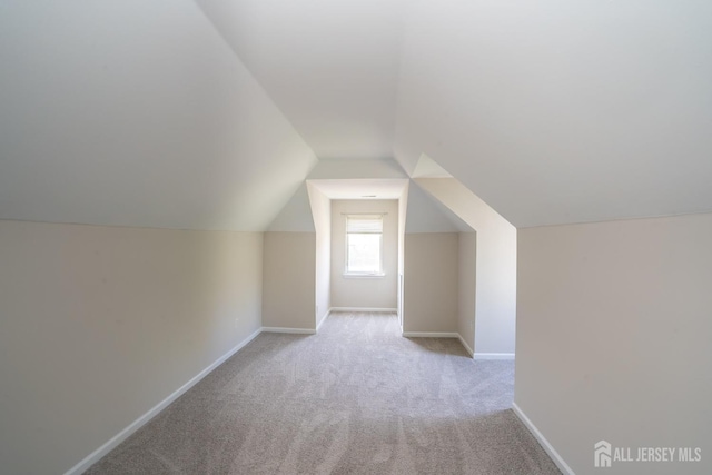 23 Heather Ct, Plainsboro, NJ 08536 - additional living space with carpet, baseboards, and vaulted ceiling