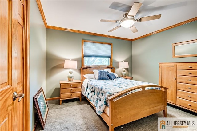 6 Point Of Woods Dr, North Brunswick, NJ 08902 - photo 18