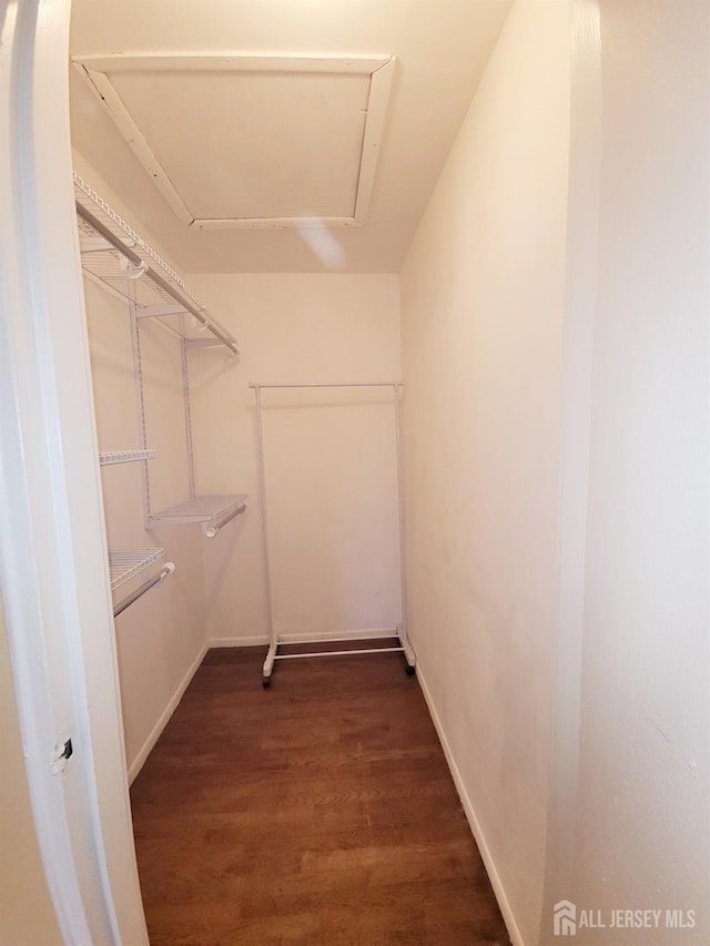 spacious closet with dark wood-style floors