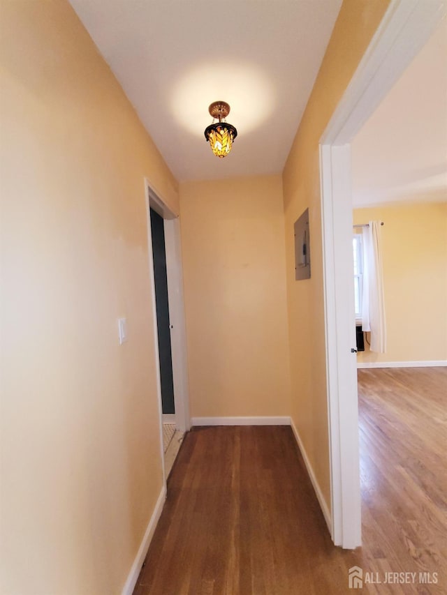 corridor featuring electric panel, baseboards, and wood finished floors