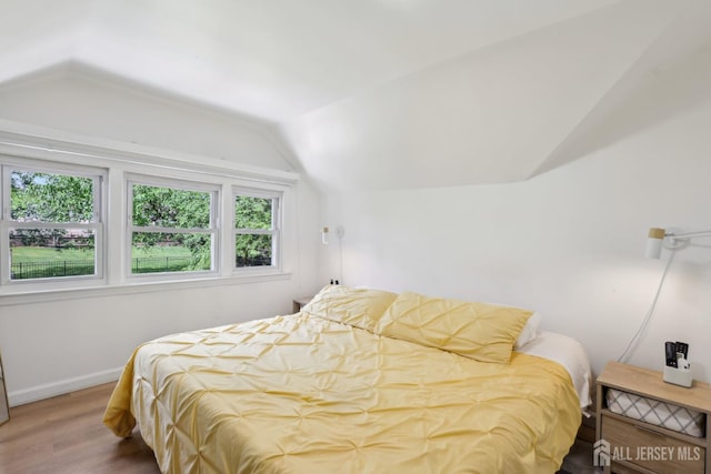 54 Morningside Rd, Colonia, NJ 07067 - bedroom featuring lofted ceiling, wood finished floors, and baseboards