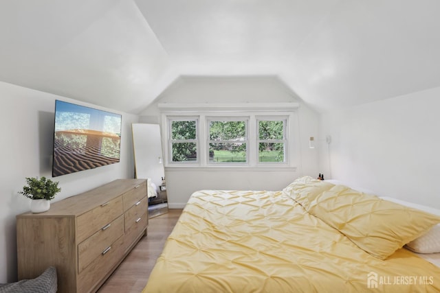 54 Morningside Rd, Colonia, NJ 07067 - bedroom with lofted ceiling, light wood-style floors, and baseboards