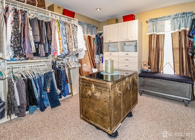 view of spacious closet