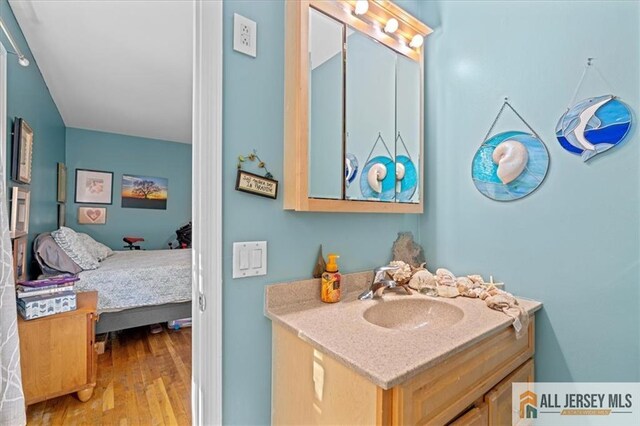 bathroom with hardwood / wood-style floors and vanity