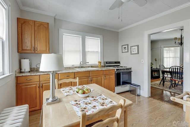 kitchen with range with gas stovetop, ornamental molding, light wood-style floors, and a sink