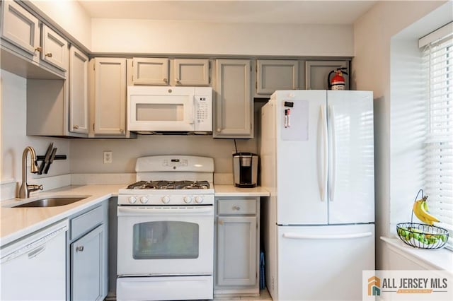 kitchen featuring gray cabinets, a sink, white appliances, and light countertops