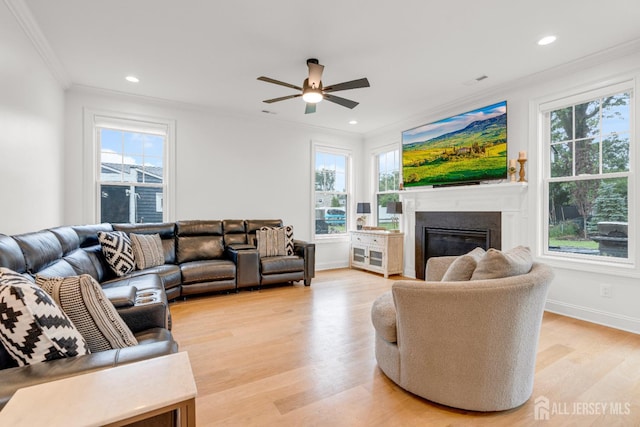 40 Cambridge Rd, Edison, NJ 08817 - living room with ornamental molding, plenty of natural light, a glass covered fireplace, light wood finished floors, and a ceiling fan