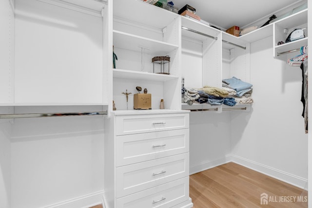 40 Cambridge Rd, Edison, NJ 08817 - walk in closet featuring light wood finished floors