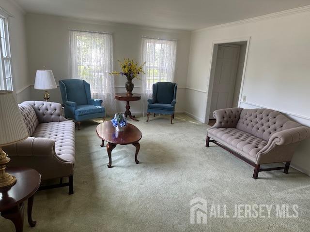 71 Rossmoor Dr Unit B, Monroe, NJ 08831 - living room with healthy amount of natural light, crown molding, and carpet floors