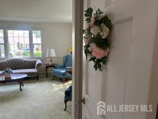 71 Rossmoor Dr Unit B, Monroe, NJ 08831 - detailed view of carpet floors