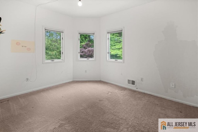 124 Kingsland Cir S, Brunswick, NJ 08852 - unfurnished room with carpet